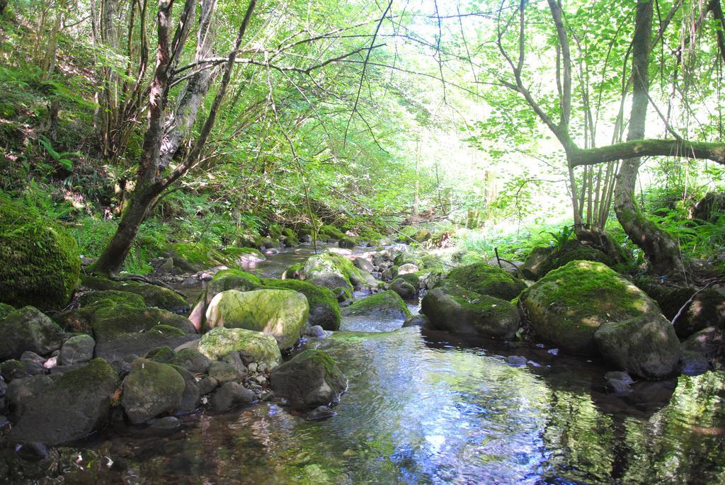El Molino De Cicera ξενώνας Εξωτερικό φωτογραφία