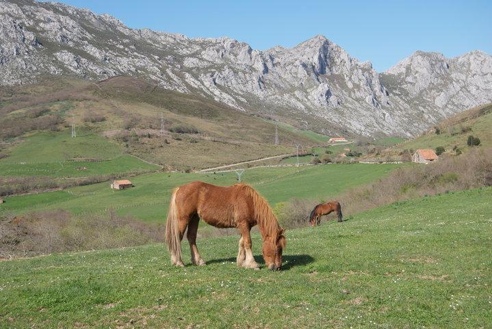 El Molino De Cicera ξενώνας Εξωτερικό φωτογραφία