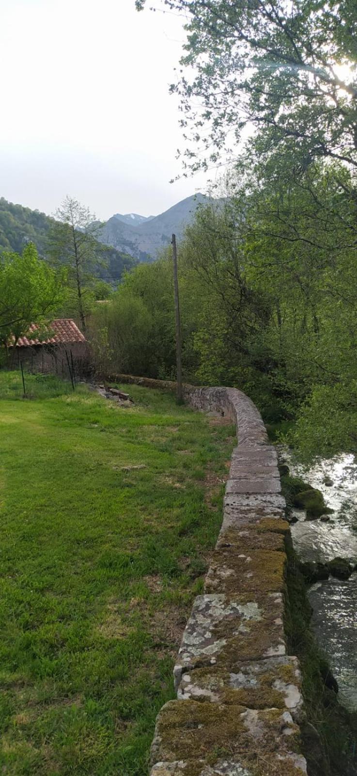 El Molino De Cicera ξενώνας Εξωτερικό φωτογραφία